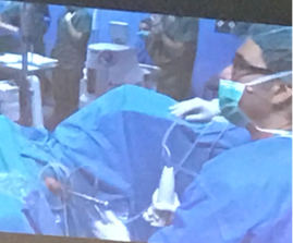 Detalle de la Cirugía con el Dr. H López